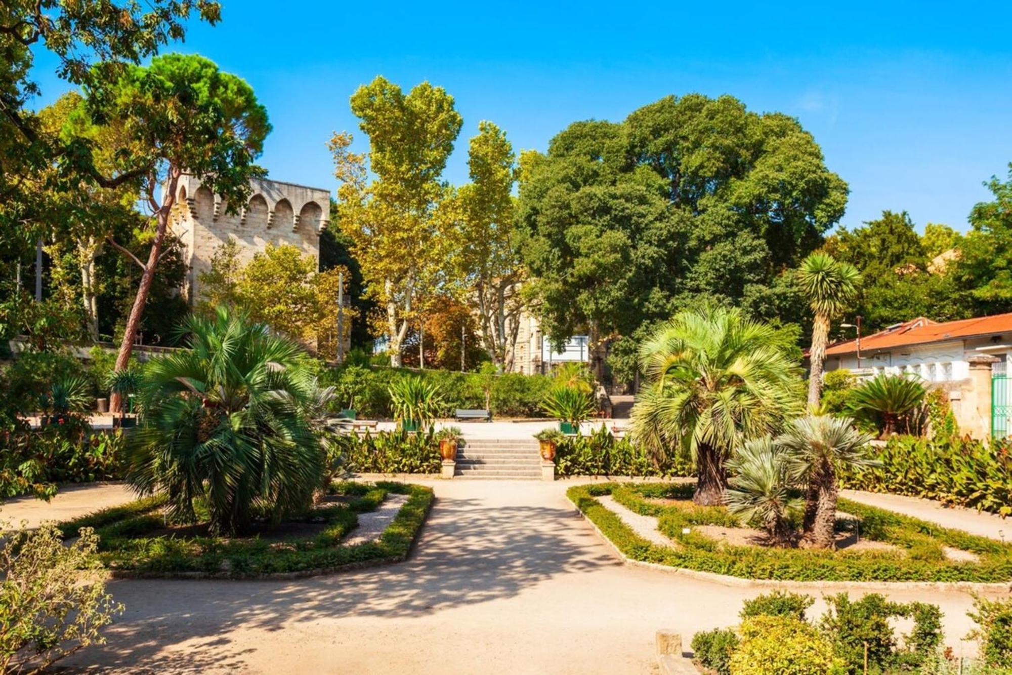 Le Triompha Montpellier Proche Arc De Triomphe Appartement Buitenkant foto